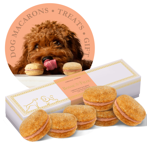 Dog Macarons - Count of 6 (Dog Treats | Dog Gifts)